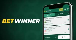 BetWinner Sportsbook Your Comprehensive Guide to Sports Betting