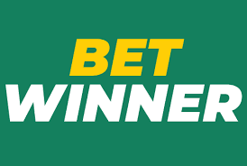 BetWinner Sportsbook Your Comprehensive Guide to Sports Betting