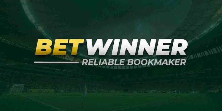 BetWinner Sportsbook Your Guide to Betting Success