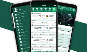 Comprehensive Guide to BetWinner Bonus Details -835251198